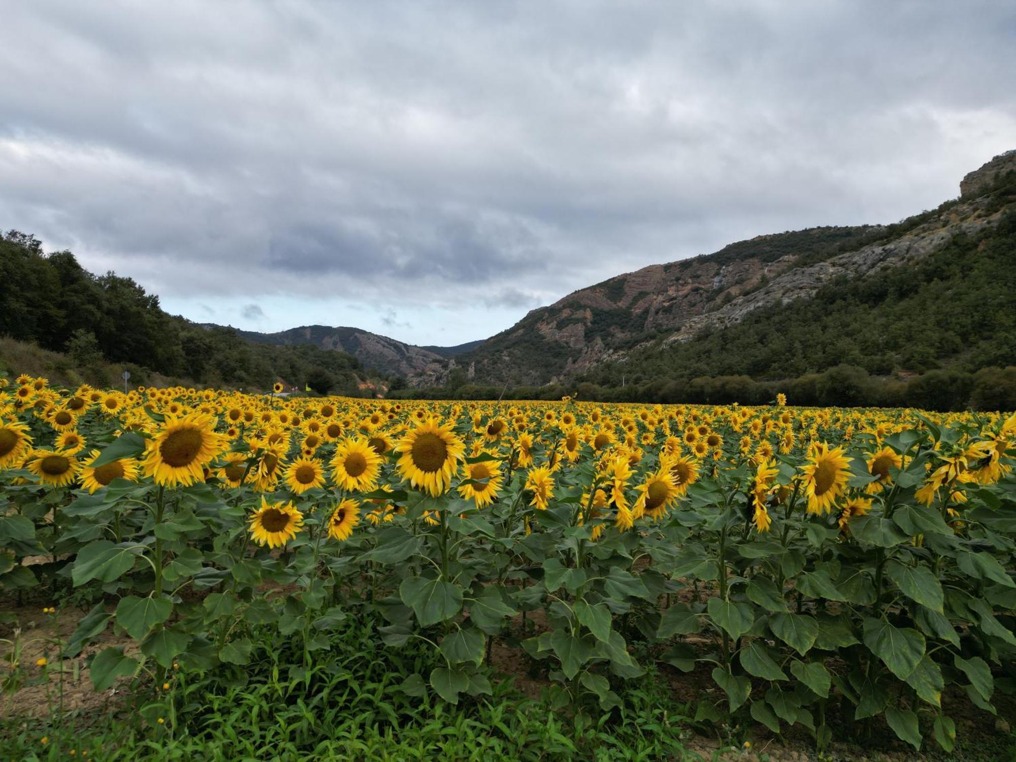Ranera Hotel Rural Rio Molinar מראה חיצוני תמונה